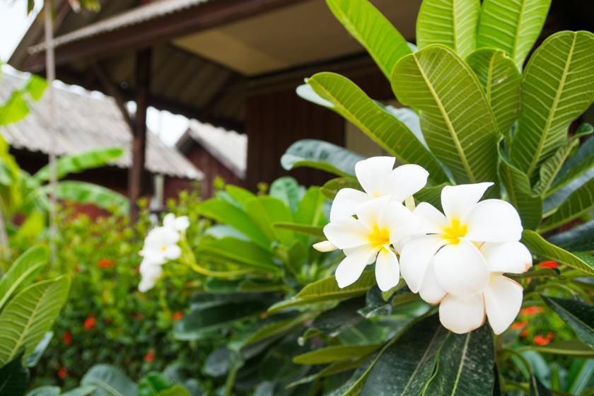 Weekender Bungalow Lamai Beach  Екстер'єр фото