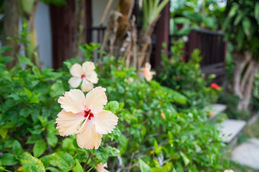 Weekender Bungalow Lamai Beach  Екстер'єр фото